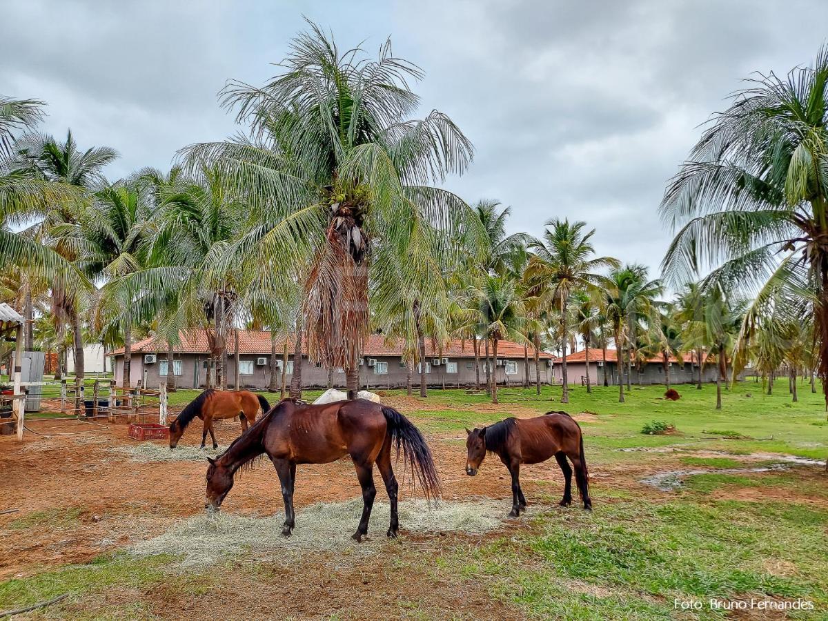 Campo Belo Resort Presidente Prudente Exteriör bild